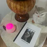 Luna 公寓